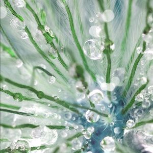 Meet your Posher, Teresa